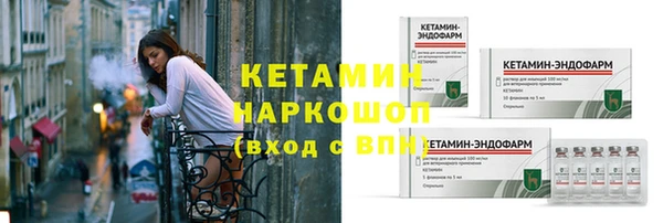 ПСИЛОЦИБИНОВЫЕ ГРИБЫ Новозыбков