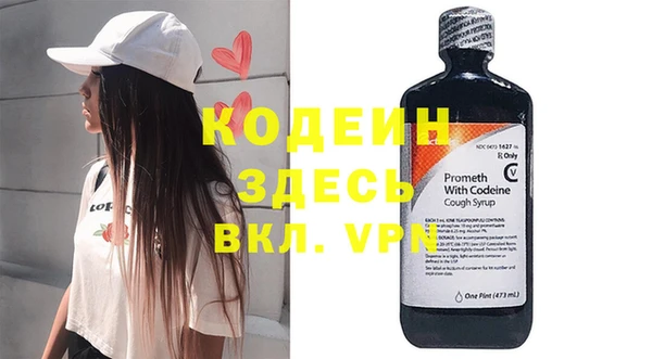 ПСИЛОЦИБИНОВЫЕ ГРИБЫ Новозыбков