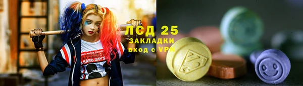 ПСИЛОЦИБИНОВЫЕ ГРИБЫ Новозыбков