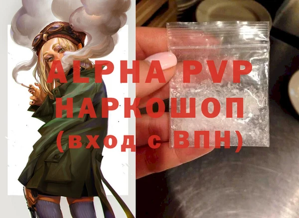 ПСИЛОЦИБИНОВЫЕ ГРИБЫ Новозыбков