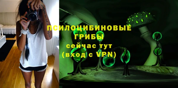 ПСИЛОЦИБИНОВЫЕ ГРИБЫ Новозыбков