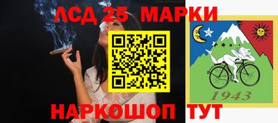 кокс Кингисепп