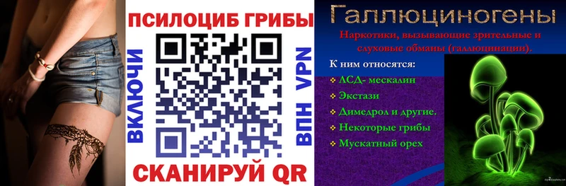 цены   Самара  Псилоцибиновые грибы Psilocybine cubensis 