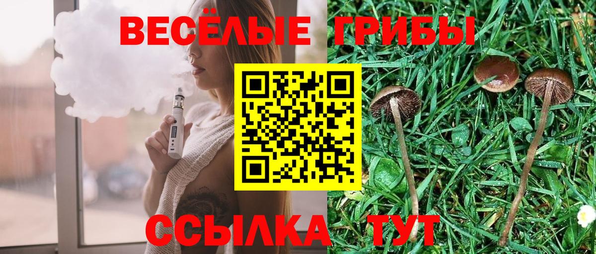 Галлюциногенные грибы Cubensis Самара